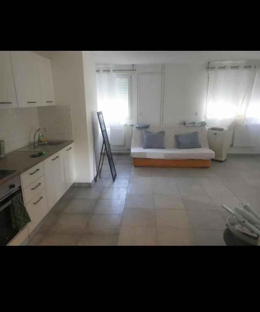 Grand Appartement, 2 Ou 3 Ou 4 Pieces, Tramway Sur Place, Proche Gare Sncf St Augustin 5 Min, Aeroport A 7 Min, Plage Ou Allianz Riviera 10 Min, Palais Nikaia 2 Min , Supermarche Sur Place, Parking Possible Si Disponible Ou Payant A 1000 Metre Nice 0*,