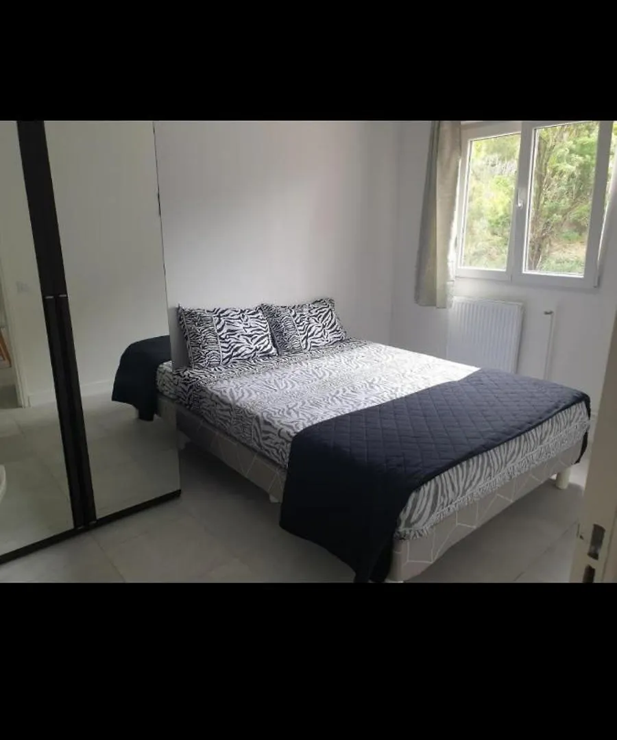 Grand Appartement, 2 Ou 3 Ou 4 Pieces, Tramway Sur Place, Proche Gare Sncf St Augustin 5 Min, Aeroport A 7 Min, Plage Ou Allianz Riviera 10 Min, Palais Nikaia 2 Min , Supermarche Sur Place, Parking Possible Si Disponible Ou Payant A 1000 Metre Nice France